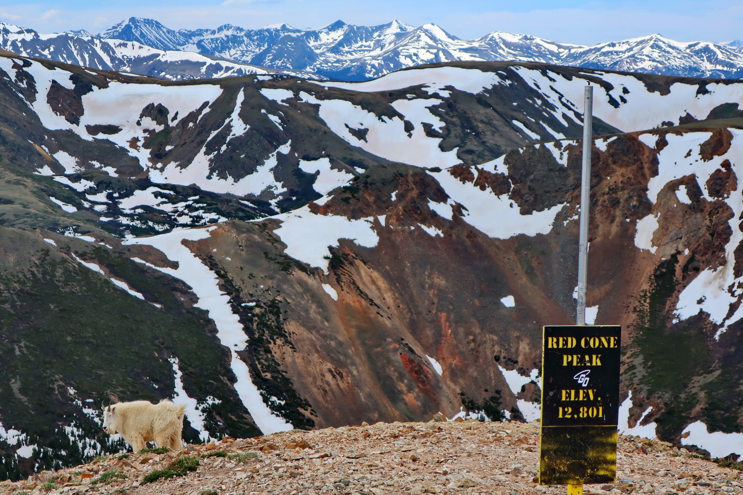 Summit of 3897 meters high Red Cone Peak with Montain Goat on the left